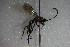  ( - GBOL14212)  @12 [ ] CreativeCommons - Attribution Non-Commercial Share-Alike (2015) Unspecified SNSB, Zoologische Staatssammlung Muenchen
