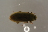  ( - GBOL19604)  @11 [ ] CreativeCommons - Attribution Non-Commercial Share-Alike (2016) SNSB, Staatliche Naturwissenschaftliche Sammlungen Bayerns ZSM (SNSB, Zoologische Staatssammlung Muenchen)