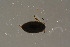  ( - GBOL19616)  @11 [ ] CreativeCommons - Attribution Non-Commercial Share-Alike (2016) SNSB, Staatliche Naturwissenschaftliche Sammlungen Bayerns ZSM (SNSB, Zoologische Staatssammlung Muenchen)