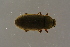 ( - GBOL19616)  @11 [ ] CreativeCommons - Attribution Non-Commercial Share-Alike (2016) SNSB, Staatliche Naturwissenschaftliche Sammlungen Bayerns ZSM (SNSB, Zoologische Staatssammlung Muenchen)