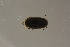  ( - GBOL19618)  @11 [ ] CreativeCommons - Attribution Non-Commercial Share-Alike (2016) SNSB, Staatliche Naturwissenschaftliche Sammlungen Bayerns ZSM (SNSB, Zoologische Staatssammlung Muenchen)