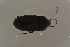  ( - GBOL19620)  @12 [ ] CreativeCommons - Attribution Non-Commercial Share-Alike (2016) SNSB, Staatliche Naturwissenschaftliche Sammlungen Bayerns ZSM (SNSB, Zoologische Staatssammlung Muenchen)