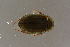  ( - GBOL19620)  @11 [ ] CreativeCommons - Attribution Non-Commercial Share-Alike (2016) SNSB, Staatliche Naturwissenschaftliche Sammlungen Bayerns ZSM (SNSB, Zoologische Staatssammlung Muenchen)