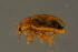  ( - GBOLBB131)  @11 [ ] CreativeCommons - Attribution Non-Commercial Share-Alike (2016) SNSB, Staatliche Naturwissenschaftliche Sammlungen Bayerns ZSM (SNSB, Zoologische Staatssammlung Muenchen)
