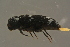  ( - GBOLBB144)  @12 [ ] CreativeCommons - Attribution Non-Commercial Share-Alike (2016) SNSB, Staatliche Naturwissenschaftliche Sammlungen Bayerns ZSM (SNSB, Zoologische Staatssammlung Muenchen)