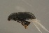  ( - GBOLBB149)  @11 [ ] CreativeCommons - Attribution Non-Commercial Share-Alike (2016) SNSB, Staatliche Naturwissenschaftliche Sammlungen Bayerns ZSM (SNSB, Zoologische Staatssammlung Muenchen)