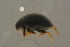  ( - GBOLBB150)  @11 [ ] CreativeCommons - Attribution Non-Commercial Share-Alike (2016) SNSB, Staatliche Naturwissenschaftliche Sammlungen Bayerns ZSM (SNSB, Zoologische Staatssammlung Muenchen)
