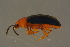  ( - GBOLBB156)  @11 [ ] CreativeCommons - Attribution Non-Commercial Share-Alike (2016) SNSB, Staatliche Naturwissenschaftliche Sammlungen Bayerns ZSM (SNSB, Zoologische Staatssammlung Muenchen)
