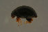  ( - GBOLBB233)  @11 [ ] CreativeCommons - Attribution Non-Commercial Share-Alike (2016) SNSB, Staatliche Naturwissenschaftliche Sammlungen Bayerns ZSM (SNSB, Zoologische Staatssammlung Muenchen)