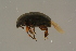  ( - GBOLBB280)  @11 [ ] CreativeCommons - Attribution Non-Commercial Share-Alike (2016) SNSB, Staatliche Naturwissenschaftliche Sammlungen Bayerns ZSM (SNSB, Zoologische Staatssammlung Muenchen)