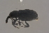  ( - GBOLBB319)  @13 [ ] CreativeCommons - Attribution Non-Commercial Share-Alike (2016) SNSB, Staatliche Naturwissenschaftliche Sammlungen Bayerns ZSM (SNSB, Zoologische Staatssammlung Muenchen)