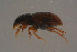  ( - GBOLBB366)  @11 [ ] CreativeCommons - Attribution Non-Commercial Share-Alike (2016) SNSB, Staatliche Naturwissenschaftliche Sammlungen Bayerns ZSM (SNSB, Zoologische Staatssammlung Muenchen)