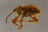  ( - GBOLBB90)  @11 [ ] CreativeCommons - Attribution Non-Commercial Share-Alike (2016) SNSB, Staatliche Naturwissenschaftliche Sammlungen Bayerns ZSM (SNSB, Zoologische Staatssammlung Muenchen)