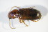  ( - GBOL_Col_FK_09450)  @12 [ ] CreativeCommons - Attribution Non-Commercial Share-Alike (2015) Unspecified SNSB, Zoologische Staatssammlung Muenchen