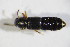  ( - GBOL_Col_FK_09594)  @13 [ ] CreativeCommons - Attribution Non-Commercial Share-Alike (2015) Unspecified SNSB, Zoologische Staatssammlung Muenchen