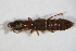  ( - GBOL_Col_FK_09595)  @13 [ ] CreativeCommons - Attribution Non-Commercial Share-Alike (2015) Unspecified SNSB, Zoologische Staatssammlung Muenchen