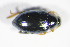  ( - GBOL_Col_FK_09638)  @12 [ ] CreativeCommons - Attribution Non-Commercial Share-Alike (2015) Unspecified SNSB, Zoologische Staatssammlung Muenchen