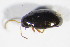  ( - GBOL_Col_FK_09639)  @13 [ ] CreativeCommons - Attribution Non-Commercial Share-Alike (2015) Unspecified SNSB, Zoologische Staatssammlung Muenchen