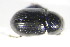  ( - GBOL_Col_FK_09652)  @12 [ ] CreativeCommons - Attribution Non-Commercial Share-Alike (2015) Unspecified SNSB, Zoologische Staatssammlung Muenchen