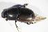  ( - GBOL_Col_FK_09653)  @11 [ ] CreativeCommons - Attribution Non-Commercial Share-Alike (2015) Unspecified SNSB, Zoologische Staatssammlung Muenchen