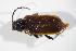  ( - GBOL_Col_FK_10835)  @11 [ ] CreativeCommons - Attribution Non-Commercial Share-Alike (2015) Unspecified SNSB, Zoologische Staatssammlung Muenchen