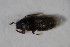  ( - GBOL_Col_FK_6390)  @11 [ ] CreativeCommons - Attribution Non-Commercial Share-Alike (2015) Unspecified SNSB, Zoologische Staatssammlung Muenchen