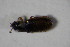  ( - GBOL_Col_FK_6535)  @12 [ ] CreativeCommons - Attribution Non-Commercial Share-Alike (2015) Unspecified SNSB, Zoologische Staatssammlung Muenchen