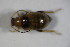  ( - GBOL_Col_FK_7140)  @13 [ ] CreativeCommons - Attribution Non-Commercial Share-Alike (2015) Unspecified SNSB, Zoologische Staatssammlung Muenchen