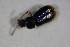  ( - GBOL_Col_FK_7229)  @12 [ ] CreativeCommons - Attribution Non-Commercial Share-Alike (2015) Unspecified SNSB, Zoologische Staatssammlung Muenchen