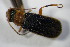  ( - GBOL_Col_FK_7813)  @13 [ ] CreativeCommons - Attribution Non-Commercial Share-Alike (2015) Unspecified SNSB, Zoologische Staatssammlung Muenchen