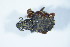  ( - GBOL_Col_FK_8471)  @11 [ ] CreativeCommons - Attribution Non-Commercial Share-Alike (2015) Unspecified SNSB, Zoologische Staatssammlung Muenchen