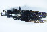  ( - GBOL_Col_FK_8498)  @11 [ ] CreativeCommons - Attribution Non-Commercial Share-Alike (2015) Unspecified SNSB, Zoologische Staatssammlung Muenchen