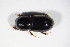  ( - GBOL_Col_FK_8670)  @12 [ ] CreativeCommons - Attribution Non-Commercial Share-Alike (2015) Unspecified SNSB, Zoologische Staatssammlung Muenchen