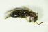  ( - GBOL_Col_FK_8933)  @11 [ ] CreativeCommons - Attribution Non-Commercial Share-Alike (2015) Unspecified SNSB, Zoologische Staatssammlung Muenchen