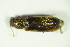  ( - GBOL_Col_FK_8941)  @11 [ ] CreativeCommons - Attribution Non-Commercial Share-Alike (2015) Unspecified SNSB, Zoologische Staatssammlung Muenchen