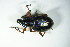  ( - GBOL_Col_FK_9054)  @13 [ ] CreativeCommons - Attribution Non-Commercial Share-Alike (2015) Unspecified SNSB, Zoologische Staatssammlung Muenchen