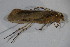 ( - GBOL11591)  @12 [ ] CreativeCommons - Attribution Non-Commercial Share-Alike (2015) Unspecified SNSB, Zoologische Staatssammlung Muenchen