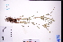  ( - GBA-DWQGZ200)  @11 [ ] by-nc-sa  Xue-Jun Ge Herbarium of South China Botanical Garden