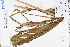  ( - GBA-REC500)  @11 [ ] by-nc-sa  Xue-Jun Ge Herbarium of South China Botanical Garden