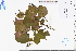  ( - GBA-REC605)  @11 [ ] by-nc-sa  Xue-Jun Ge Herbarium of South China Botanical Garden