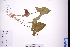  ( - GBA-REC723)  @11 [ ] by-nc-sa  Xue-Jun Ge Herbarium of South China Botanical Garden