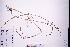  ( - GBA-REC749)  @11 [ ] by-nc-sa  Xue-Jun Ge Herbarium of South China Botanical Garden