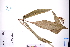 ( - GBA-REC814)  @11 [ ] by-nc-sa  Xue-Jun Ge Herbarium of South China Botanical Garden