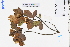  ( - GBA-DWQJM60)  @11 [ ] by-nc-sa  Xue-Jun Ge Herbarium of South China Botanical Garden