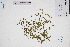  ( - GBA-DWQJM120)  @11 [ ] by-nc-sa  Xue-Jun Ge Herbarium of South China Botanical Garden
