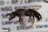  ( - ZFMK-TIS-2597972)  @11 [ ] CreativeCommons  Attribution Share-Alike (by-sa) 818 (2017) Unspecified Zoologisches Forschungsmuseum Alexander Koenig