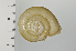  ( - SDNCU-A1079)  @14 [ ] Copyright (2014) Unspecified Specimen depository of the Graduate School of Natural Sciences, Nagoya City University
