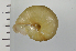  ( - SDNCU-A1079)  @14 [ ] Copyright (2014) Unspecified Specimen depository of the Graduate School of Natural Sciences, Nagoya City University