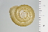  ( - SDNCU-A1238)  @14 [ ] Copyright (2014) Unspecified Specimen depository of the Graduate School of Natural Sciences, Nagoya City University