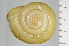  ( - SDNCU-A1210)  @14 [ ] Copyright (2014) Unspecified Specimen depository of the Graduate School of Natural Sciences, Nagoya City University